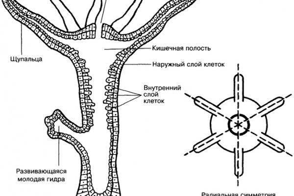 Кракен ссылка на тор