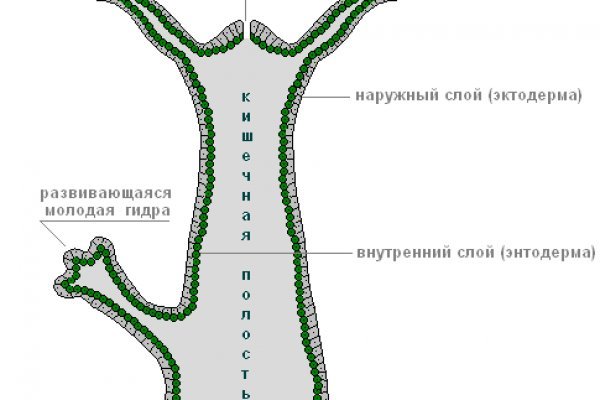 Как оплатить заказ в кракене