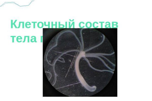 Найти ссылку кракен