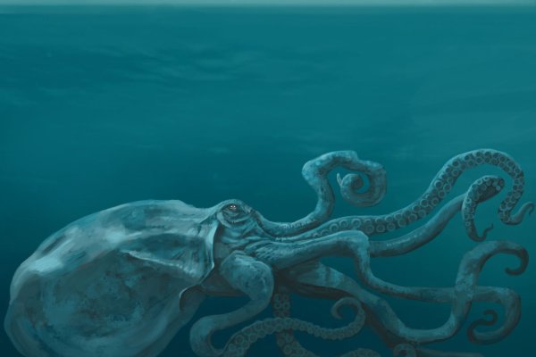 Как зайти на кракен kraken014 com