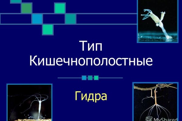 Кракен это гидра