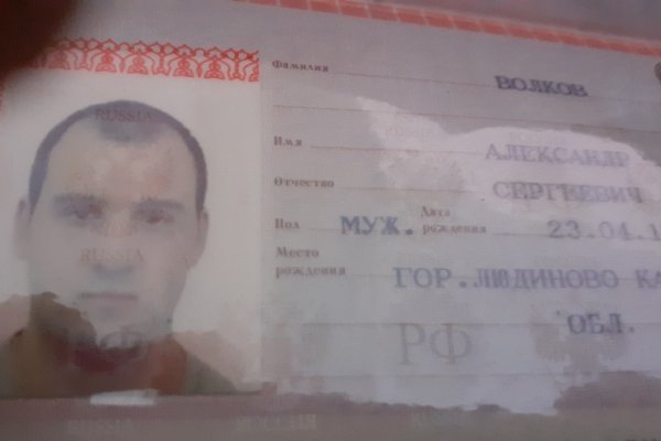 Работает ли кракен