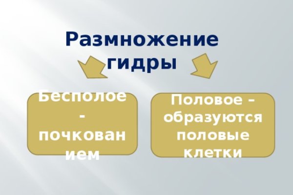 Кракен нарко шоп